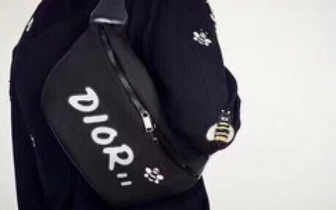 Dior迪奥 X KAWS尼龙腰包/胸包