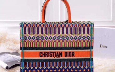 Dior迪奥  帆布刺绣彩虹购物袋