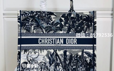 Dior最新色购物袋️