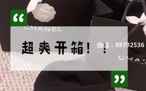 Chanel｜钱币包➕mini woc最新款开箱