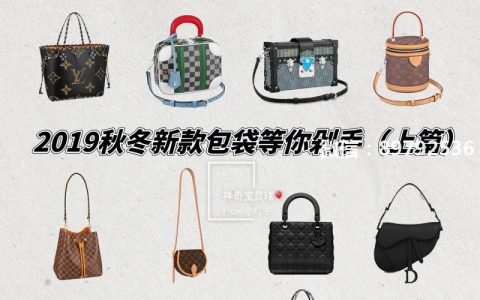 2019秋冬新款包袋（上篇）Chanel红绿色系太美