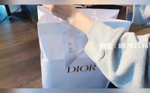 #迪奥 Dior 当下最火It包 Dior迪奥马鞍包 开箱（上）