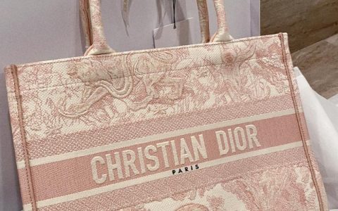 Christian Dior Tote小号 小粉VS小灰