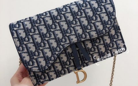 Dior woc链条包小清新风格十足