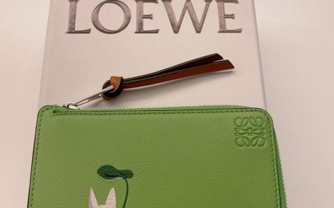 Loewe X Totoro 罗意威x龙猫联名小卡包到货