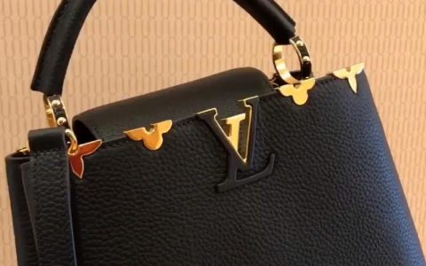 #路易威登 Louis Vuitton Lv CAPUCINES 中号手袋