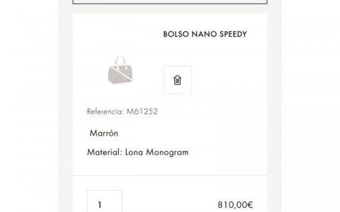 今年第一个礼物 LV Nano Speedy