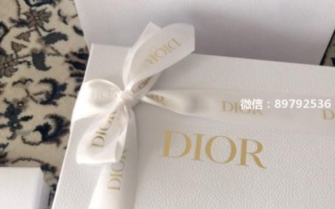 Christian Dior Saddle Bag迪奥马鞍包开箱