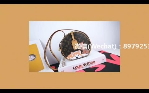 Louis Vuitton LV路易威登  狗狗手绘定制 LV软饼 卡通宠物定