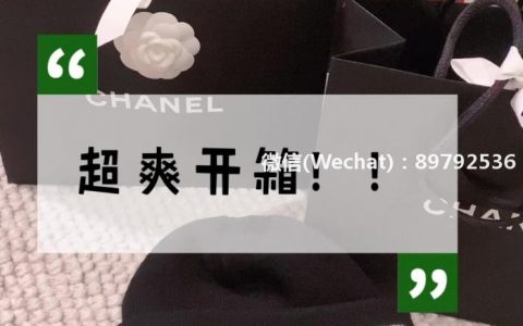 Chanel,钱币包➕mini woc最新款开箱